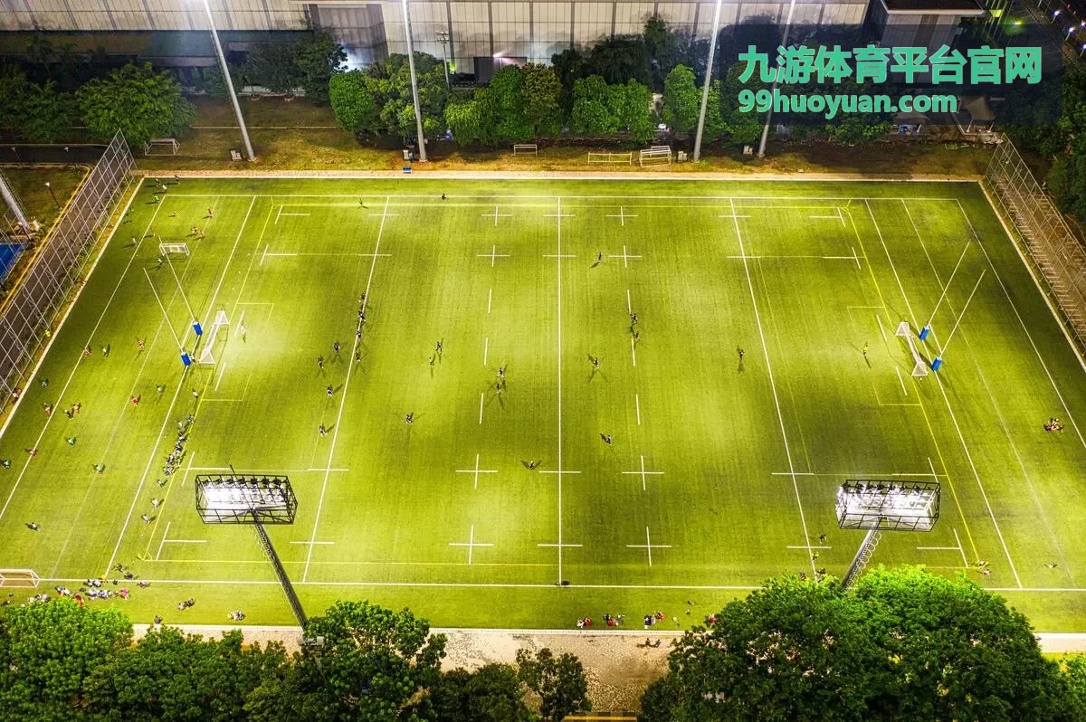 九游体育平台官网账户安全设置封面图