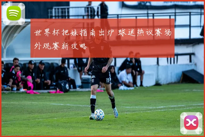 世界杯把妹指南出炉 球迷热议赛场外观赛新攻略