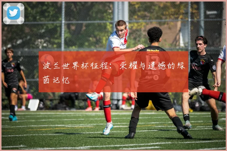 波兰世界杯征程：荣耀与遗憾的绿茵记忆