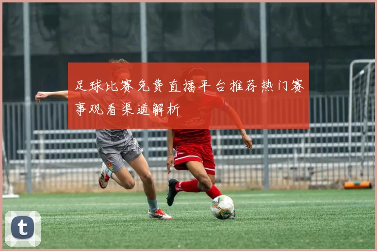 足球比赛免费直播平台推荐热门赛事观看渠道解析