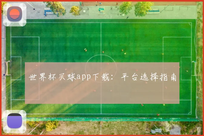 世界杯买球app下载：平台选择指南