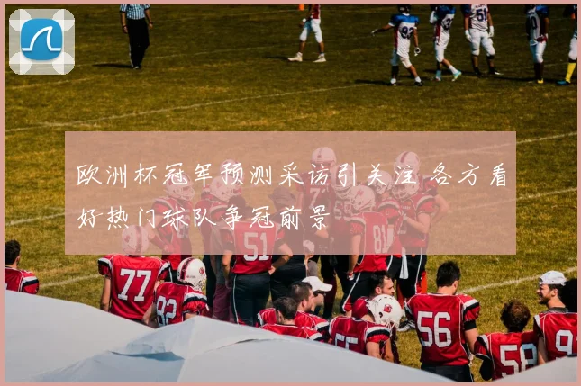 欧洲杯冠军预测采访引关注 各方看好热门球队争冠前景